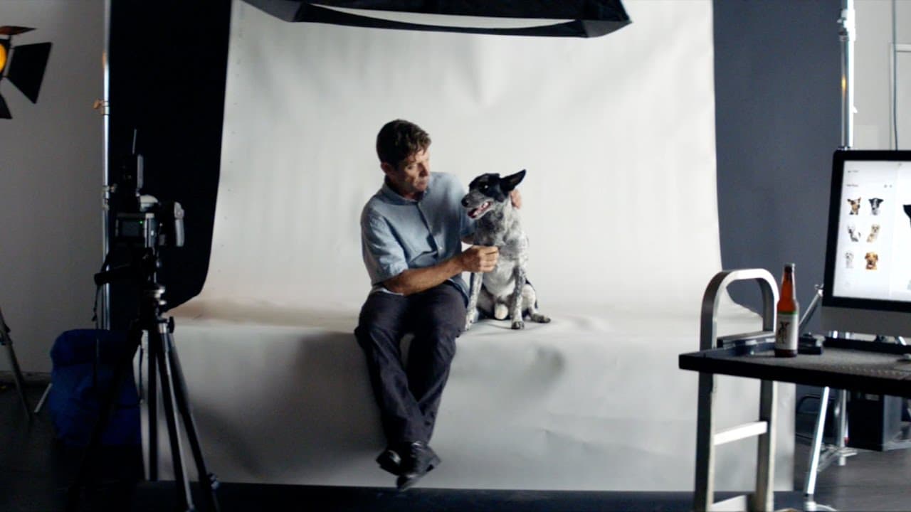 G Suite x Squarespace Present: Kombucha Dog