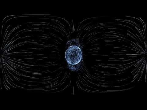 Giant Oak | GOST VR